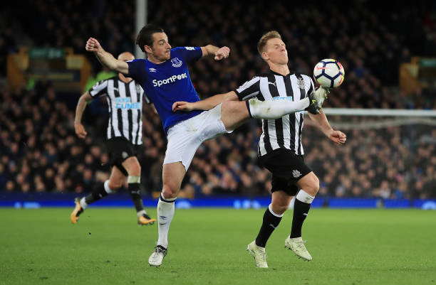 不仅动摇了 不仅动摇了