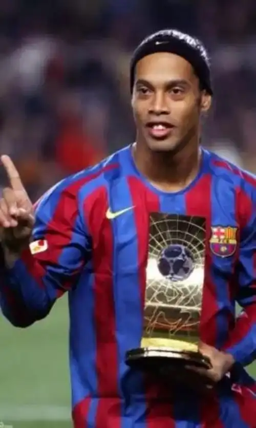 不仅展现了 不仅展现了