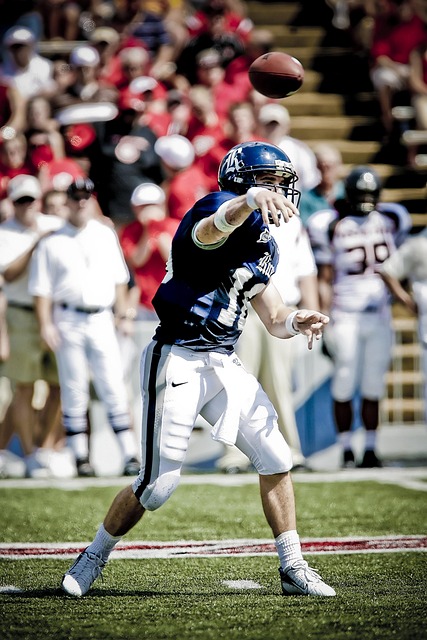 在足球的绿 在足球的绿