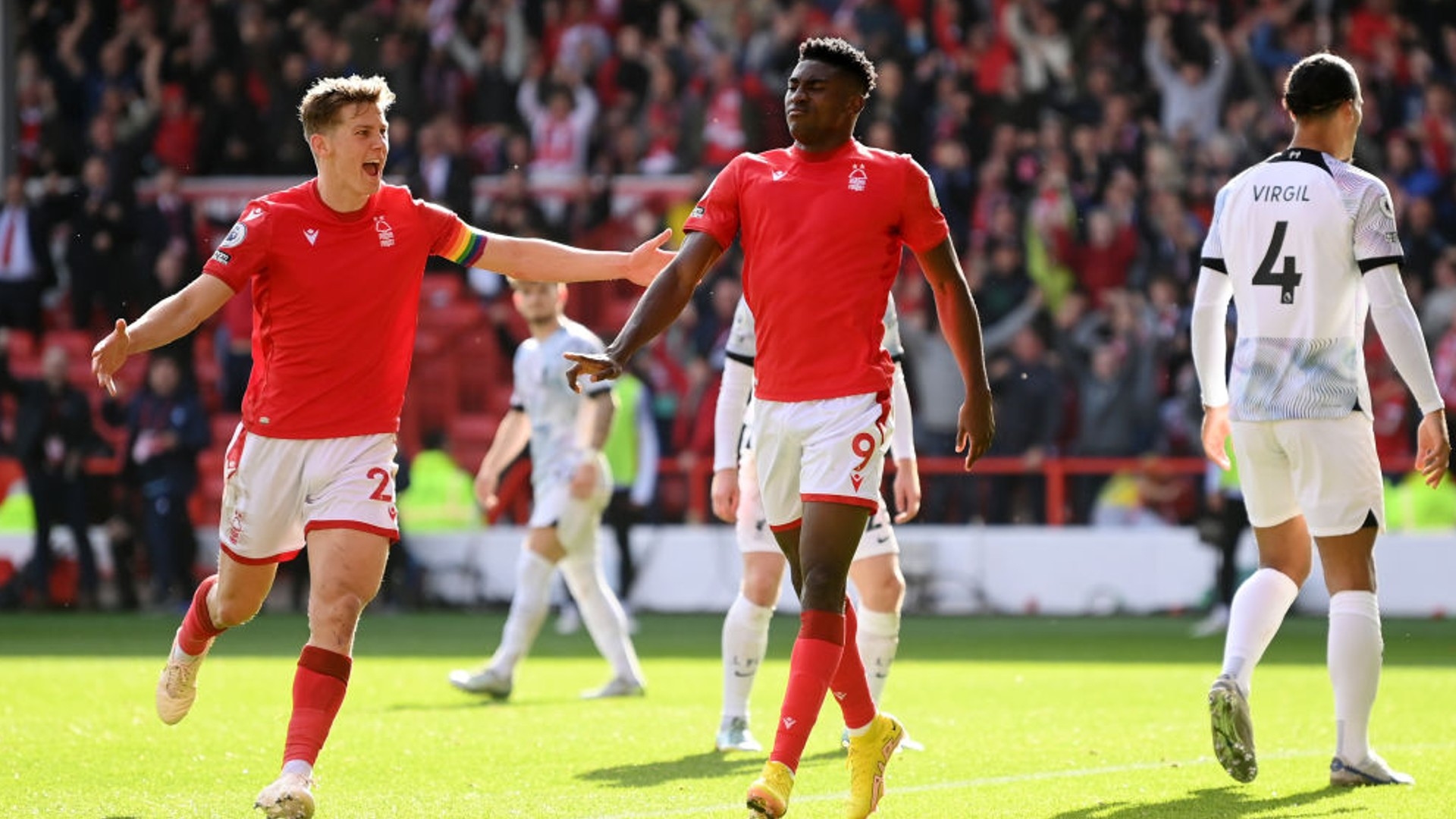 这些描述中 这些描述中