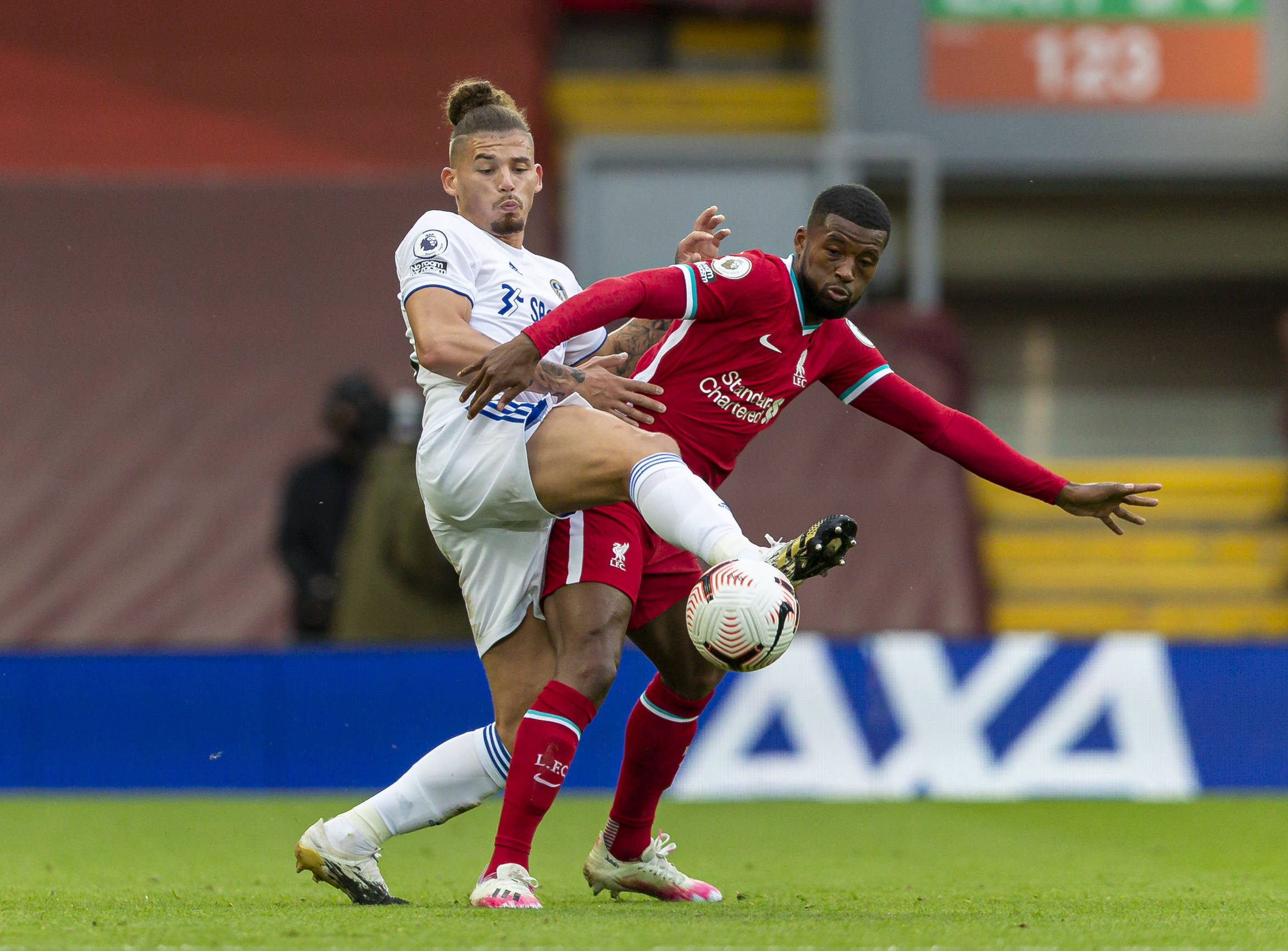 退役后的伊 退役后的伊